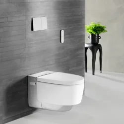 Geberit AquaClean Mera Comfort - Krom