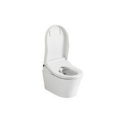 **TOTO Washlet RG lite