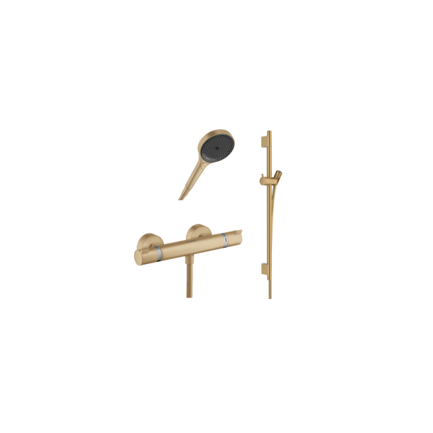 hansgrohe Ecostat brusetermostat inkl. brusestang, slange og h�ndbruser