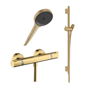 hansgrohe Ecostat Comfort brusetermostat inkl. brusestang, slange og h�ndbruser - Poleret guld-optik