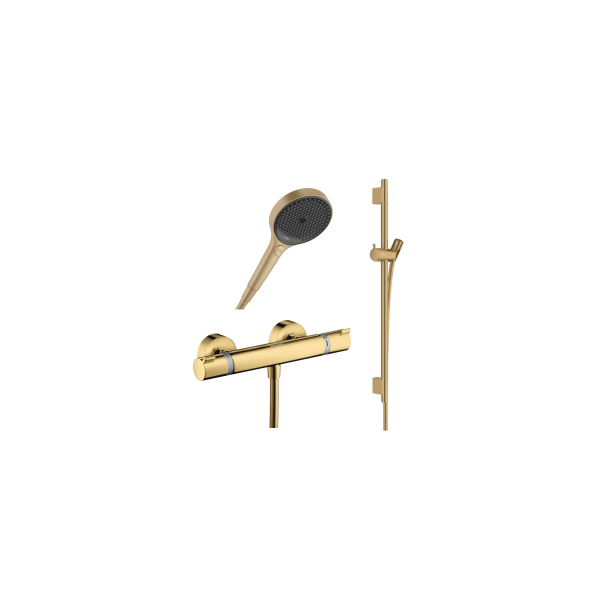 hansgrohe Ecostat Comfort brusetermostat inkl. brusestang, slange og h�ndbruser